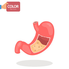 Human stomach color vecot icon. Flat design