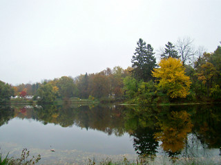 Beautiful rainy autumn view with a pond - 260297217