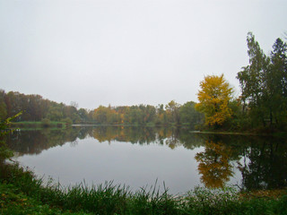 Beautiful rainy autumn view with a pond - 260297276