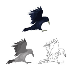 Flying raven colored, line and monochrome icon set vector concept