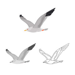 Flying seagull color, line and monochrome icon set vector concept