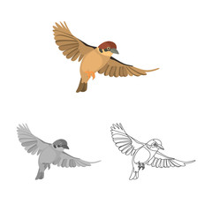 Flying sparrow colored, line and monochrome icon set vector concept