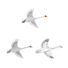 Flying swan colored, line and monochrome icon set vector concept