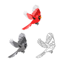 Flying red cardinal color, line and monochrome icon set vector concept