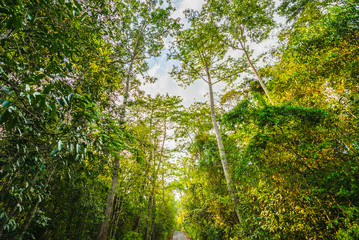 Obraz premium Tourist route in the national park area.12