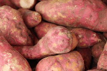 Fresh yam for cooking in the market