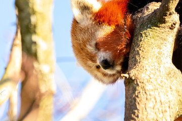 Zoo Aalborg