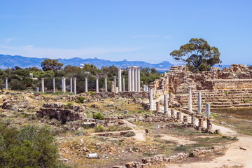 Fototapeta na wymiar North Cyprus. Antique city of Salamis. View on the ruins