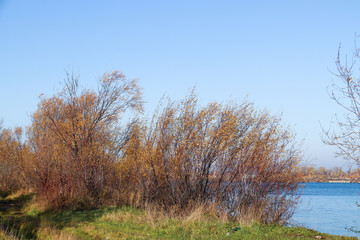 Autumn day in Arkhangelsk. View of the river Northern Dvina and river port in Arkhangelsk.