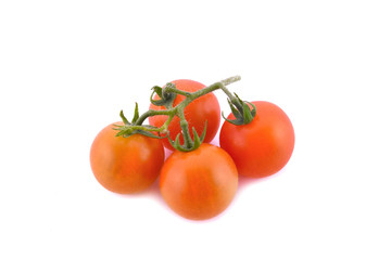 tomato on white background