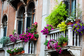 Fototapeta na wymiar Flower box in Venice