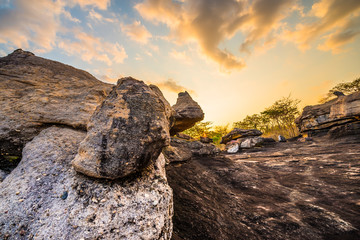 On limestone hills.34