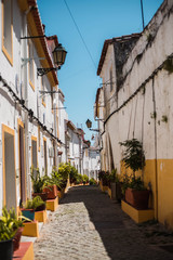 Beautiful street with flower pots plants and flowers in Elvas Portugal