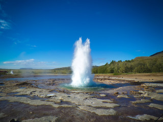 Strokkur geyser in Iceland