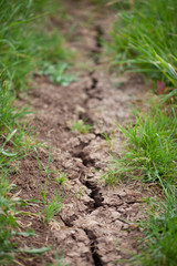 Drought Soil