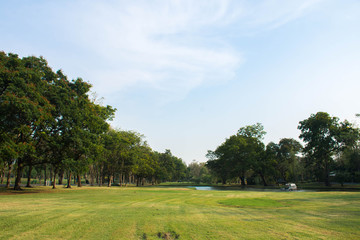 Fototapeta na wymiar Green park with blue sky