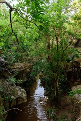 landscape with stones, water and trees of a tourist place in the Brazilian northeast
