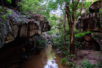 landscape with stones, water and trees of a tourist place in the Brazilian northeast