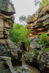 landscape with stones, water and trees of a tourist place in the Brazilian northeast