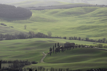 Green typical Tuscany landscape in Italian region with fields, meadow, hills and path with...