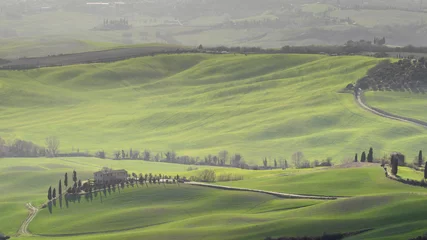 Store enrouleur Toscane Green typical Tuscany landscape in Italian region with fields, meadow, hills and path with farmhouses  © jordieasy