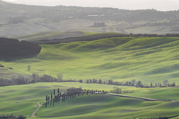 Green typical Tuscany landscape in Italian region with fields, meadow, hills and path with farmhouses
