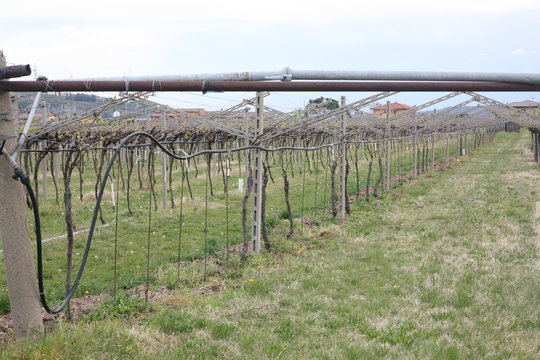 Affi 이미지 찾아보기 199 스톡 사진, 벡터 및 비디오 Adobe Stock