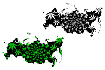Russia - map is designed cannabis leaf green and black,  Russian Federation map made of marijuana (marihuana,THC) foliage,