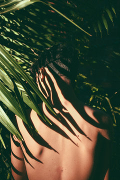Portrait conceitual of young and beautiful man with dark shades in tropical leaves / stylish hipster man with palm leaf embracing. boy portrait with natural herb, boho sensual. romantic moment. rustic