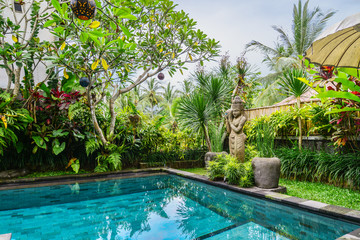 Garden on back yard with swimming pool