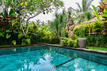 Garden on back yard with swimming pool