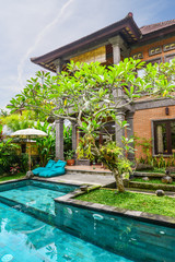 Garden on back yard with swimming pool