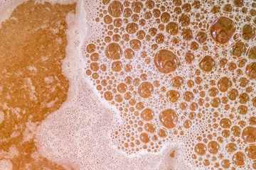 Beer wort starting to boil, Wort for Home Brewer Wheat Beer.