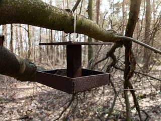 Handmade bird feeder hung on the tree branch