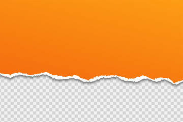 Tear paper or edge On a transparent background.