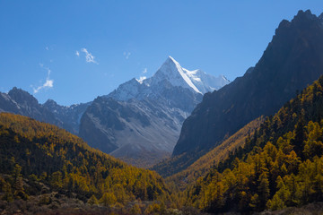 Naklejka premium Yading