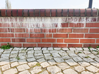 Ausblühung am Mauerwerk Salpeter - Wall Efflorescence