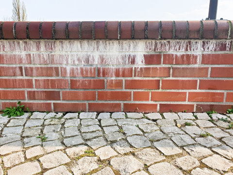 Ausbl&uuml;hung am Mauerwerk Salpeter - Wall Efflorescence