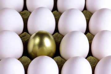Eggs. Many white and one golden egg in carton package. Symmetry background concept.