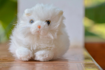White cat doll on blur backgroud.
