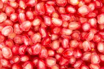 pomegranate background