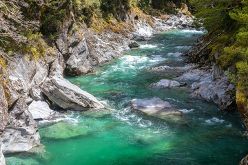 Haast River Landsborough Valley New Zealand