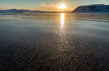 Cold landscapes and icescapes of Svalbard.