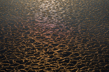 Cold landscapes and icescapes of Svalbard.