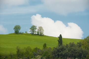 tipico paesaggio italiano, raffigurante distese verdi e cieli azzurri movimentati da nuvole bianche
