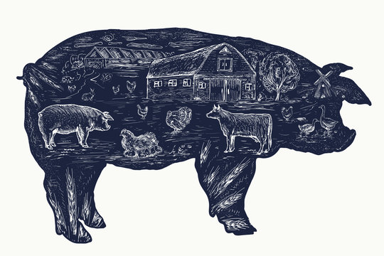 Pig, double exposure tattoo, Farm animals art hand drawn graphic