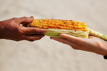 Large cob of corn on the grill. Closeup of the hand of an Indian woman passes the corn to a white...