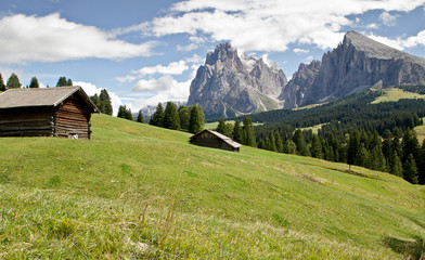 Seiseralm Alp de Siusi