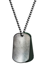 chrome metal tag and necklace.