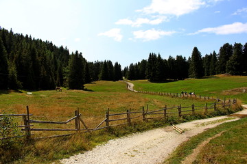 Fototapeta na wymiar Beautiful valley on the San Vigilio mountain in South Tyrol